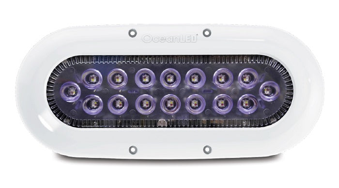 OceanLED X16 X-Series Ultra White LED